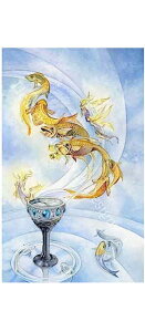 NXXeb`hJ`[g HAED | yJbṽG[Xz Ace of Cups
