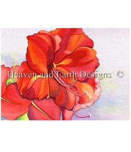 �N���X�X�e�b�`�}�� �h�J HAED ��| �㋉�� �y�������̃A�}�����X�z Amaryllis at Dawn