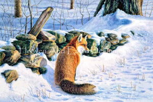 Sally Smith �N���X�X�e�b�`�h���イ�`���[�g HAED �}�� �yRed Fox�z Heaven And Earth Designs ��� �㋉�җl���� �� �~ ���� �� �L�c�l