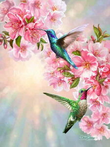 Dona Gelsinger NXXeb` } hイ `[g y Hummingbirds in Spring NO Background z Heaven And Earth Designs A ㋉ n`h n~Oo[h   t 