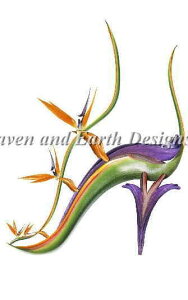 NXXeb`} `[g HAED | ㋉ yp_CXEt@Ehz QS Paradise Found