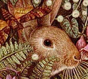 NXXeb`} `[g HAED | ㋉ yvZXEX[vEoj[z QS Princess Asleep Bunny