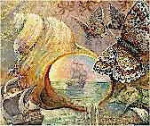 NXXeb`}ă`[g HAED | ㋉ yDƊLz QS Ships and Shell