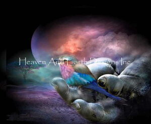 NXXeb`} `[g HAED | ㋉ yN[`[O[gEAhEX[z Creatures Great & Small