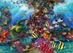 John Enright NXXeb`hイ`[g HAED } yThe Reef Color Expansionz Heaven And Earth Designs  ㋉ C TS X TS Mы GWFtBbV E~K CT