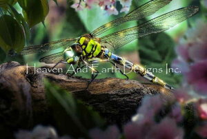 Heaven And Earth Designs NXXeb`} `[g yƂځz Dragonfly TH