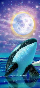 Heaven And Earth Designs NXXeb`} `[g ykɂ̖z QS Arctic Dreams V`  X I[  C 