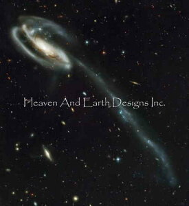 Heaven And Earth Designs NXXeb`} `[g y܂Ⴍ́z Tadpole Galaxy