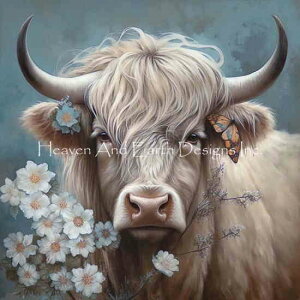 Steve Hunziker NXXeb` } hイ `[g y Mystic Highland One z Heaven And Earth Designs A ㋉ EV  