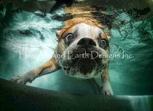 Underwater Dogs NXXeb` } hイ `[g y Beefy Water z Heaven And Earth Designs A ㋉   Ck hbO uhbO Ԃǂ Ԃ Ԃ킢