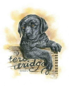 Dave Bartholet NXXeb` hイ `[g HAED } y Little Buddy z Heaven And Earth Designs A ㋉ Ck  hbO S[fgo[S[fg[o[