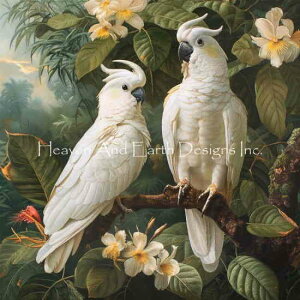 Steve Hunziker NXXeb` hイ `[g Heaven And Earth Designs } HAED y Cockatoo Haven z  Ƃ RLTJIE IE ^CnNIE