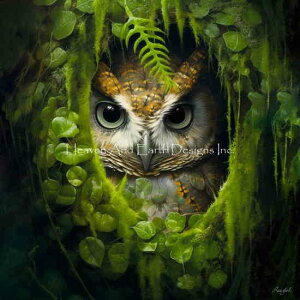 Roozbeh Bahramali NXXeb` hイ `[g HAED } y Woodland Wonders X z Heaven And Earth Designs  ㋉ ӂ낤 tNE 