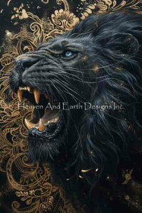 Solo Collection NXXeb` hイ `[g HAED } y Fierce MS z Heaven And Earth Designs  ㋉ CI q