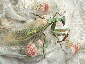 WhimsiTea �N���X�X�e�b�` �h���イ �`���[�g HAED �}�� �y Praying Mantis �z Heaven And Earth Designs ��� �㋉�� �J�}�L�� ���܂��� �� ����