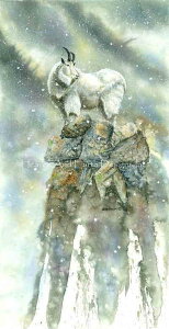 Dave Bartholet �N���X�X�e�b�`�h���イ�`���[�g HAED �}�� �y View from the Top �z Heaven And Earth Designs �㋉�� �C�O ���M �R�r �€