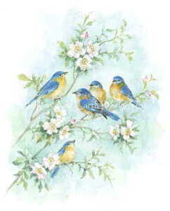 Karen Tarlton NXXeb` } hイ `[g y Blue Birds z Heaven And Earth Designs A ㋉ Ƃ  o[h 