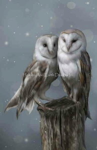 Tamara Markegard NXXeb` } hイ `[g y QS Silent Watchers z Heaven And Earth Designs A ㋉ ӂ낤 tNE 