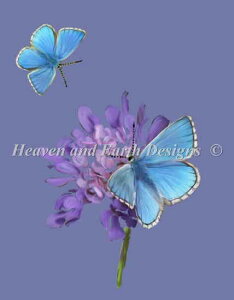 Claire Harkness �N���X�X�e�b�`�h���イ�`���[�g HAED �}�� �y Mini Adonis Blue �z Heaven And Earth Designs �A�� �㋉�� �o�^�t���C �� �� �t�����[