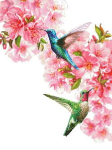 Dona Gelsinger �N���X�X�e�b�` �}�� �h���イ �`���[�g �y Mini Hummingbirds in Spring NO BK Max Colors �z Heaven And Earth Designs �A�� �㋉�� �n�`�h�� �n�~���O�o�[�h �� �� �t ��