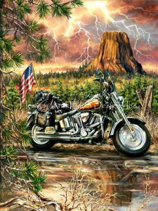 Dona Gelsinger �N���X�X�e�b�`�h���イ�`���[�g HAED �}�� �yThe Open Road�z Heaven And Earth Designs �A�� �㋉�җl����