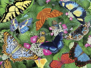 Ann Jasperson NXXeb`} `[g HAED | ㋉ yBountiful Butterfliesz Heaven And Earth Designs A ㋉  o^tC X 傤 傤