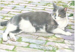 Francien Van Westering NXXeb`hイ`[g HAED } yLazing Aroundz Heaven And Earth Designs ˂ L lR