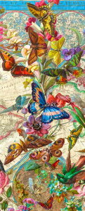 Aimee Stewart NXXeb`hイ`[g HAED } yStorykeep Birds Butterflies and Blooms World Mapz Heaven And Earth Designs  A ㋉җl n} En}  o^tC