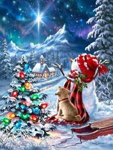 Dona Gelsinger NXXeb` } hイ `[g y Follow the Star z Heaven And Earth Designs CO A ㋉ NX}X Xm[} Ⴞ ~ i