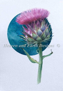 Pat Brennan NXXeb` hイ `[g HAED } y Cardoon Tidied z Heaven And Earth Designs CO A ㋉ A[eB`[N  t[