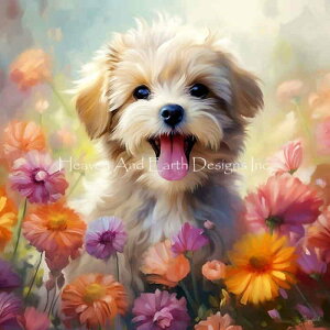 Roozbeh Bahramali NXXeb` hイ `[g HAED } y Beautiful Day z Heaven And Earth Designs  A ㋉җl  Ck  hbO