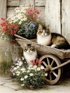 Katrina Bair �N���X�X�e�b�` �}�� �h���イ �`���[�g Heaven And Earth Designs �y Wheelbarrow Kitties �z �A�� �㋉�� HAED �˂� �L �l�R �t�����[ ��