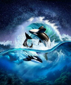 Jerry Lofaro �N���X�X�e�b�` �}�� �h���イ �`���[�g �y Orca Wave �z Heaven And Earth Designs �㋉�� �V���` �� ���Ⴟ