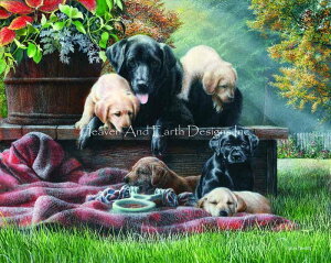 Kevin Daniel �N���X�X�e�b�` �}�� �h���イ �`���[�g �y Cozy Moments �z Heaven And Earth Designs �㋉�� ���� �� �C�k
