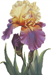 Marianne Broome �N���X�X�e�b�` �}�� �h���イ �`���[�g �y Mini Proud Iris NO BK / �w�i���� �z Heaven And Earth Designs �㋉�� �A�C���X �Ҋ� �A���� �����
