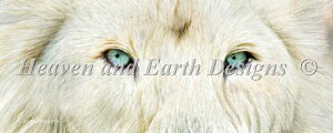CAVALARIS CAROL �N���X�X�e�b�`�h���イ�`���[�g HAED �}�� �y Wild Eyes White Lion �z Heaven And Earth Designs ���q ���C�I�� �炢���� �S�b�̉�