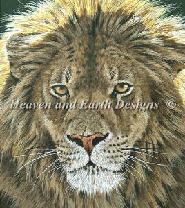 Stephen Gayford �N���X�X�e�b�` �}�� �h���イ �`���[�g �y Portrait of a King �z Heaven And Earth Designs �㋉�� ���H���� ���q ���C�I�� �炢����