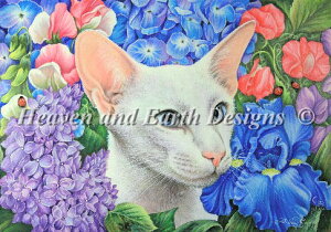 Heaven And Earth Designs (HAED) NXXeb`hJ } A Eden Garden L  ĂƂ Sʎh ㋉