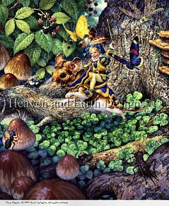 Heaven And Earth Designs (HAED) NXXeb`hJ } Tom Thumb `[g N l zrbg lY~ LmR  A Sʎh ㋉