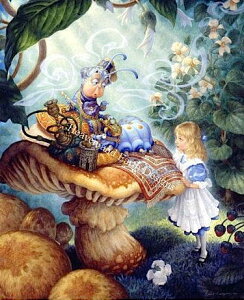 Heaven And Earth Designs NXXeb`} `[g yAhoCXEtEAEL^s[z Advice From a Caterpillar Max Colors