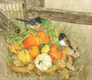 Heaven And Earth Designs ( HAED ) NXXeb` hJ } Jane Shasky A ZƃgEq`E y Pumpkins And Towhees / Pumpkins And Towhees Max Colors z Sʎh ㋉