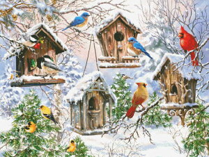 NXXeb`hJ } A Heaven And Earth Designs (HAED) ̉H Birds Of A Feather Sʎh ㋉