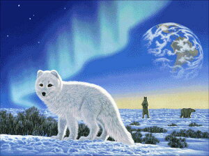 VEV[ NXXeb`hJ`[g HAED | yzbLNMclz Mini Arctic Fox