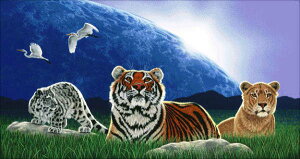 HAED �}�� �N���X�X�e�b�`�h�J Heaven And Earth Designs ���E�̋��L Shared World �S�ʎh�� �㋉��