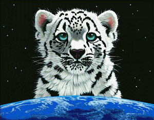 HAED �}�� �N���X�X�e�b�`�h�J Heaven And Earth Designs ���L�q���E�̐��E Snow Leopards World �S�ʎh�� �㋉��