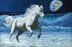 HAED �}�� �N���X�X�e�b�`�h�J Heaven And Earth Designs �g�̃����i�[ Wave Runner �S�ʎh�� �㋉��