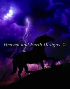  } Heaven And Earth Designs (HAED) NXXeb`hJ A Into The Storm Sʎh ㋉