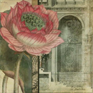 イNXXeb`} HAED V[NbgEK[f Heaven And Earth Designs A Aimee Stewart ㋉ Mini Secret Garden AS Sʎh