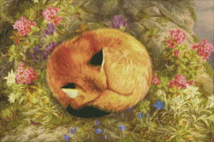 イNXXeb`} HAED Lcl Heaven And Earth Designs A Aimee Stewart ㋉ Mini The Cozy Fox Sʎh
