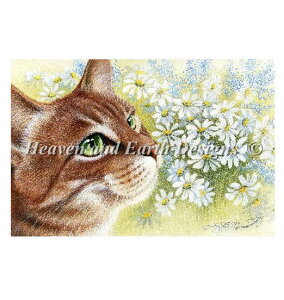 } Heaven And Earth Designs NXXeb`hJ HAED A ㋉ Irina Garmashova fCW[ƔL Daisies Sʎh